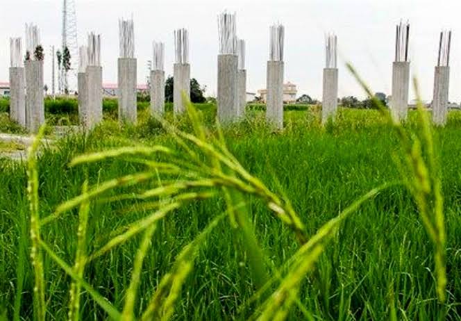 نابودی زمین‌های زراعی با تغییر کاربری