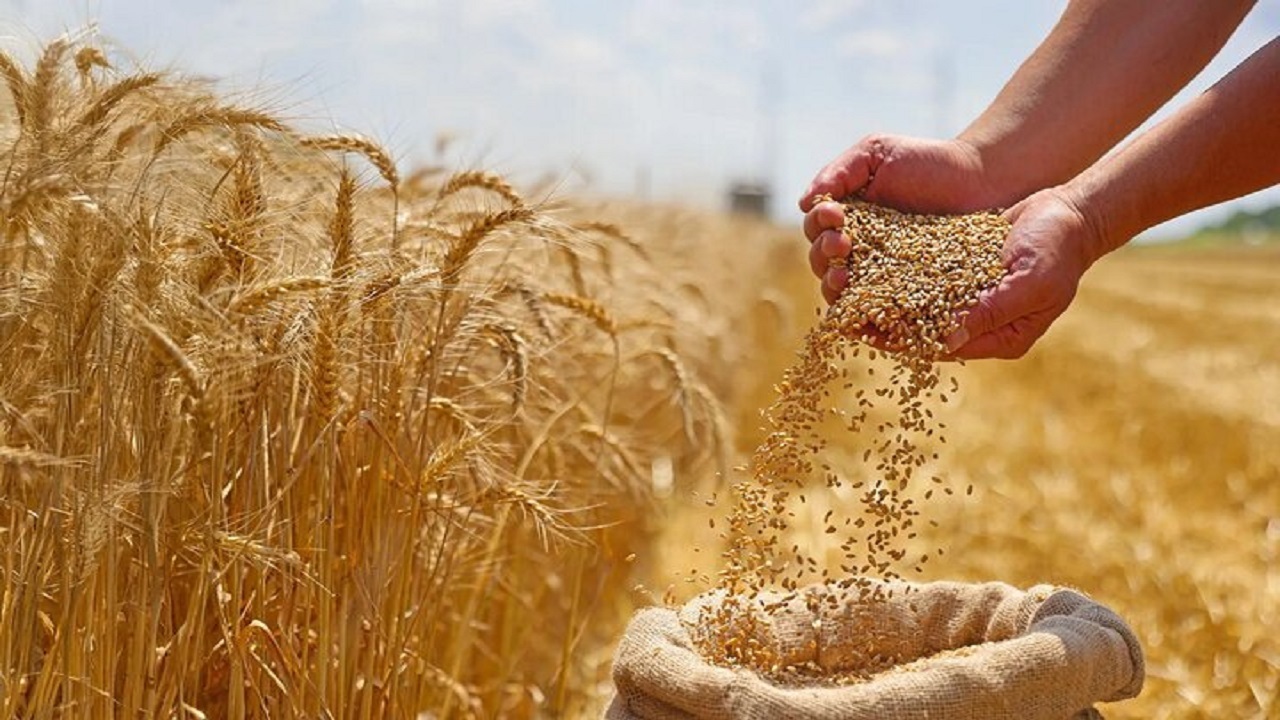 تنها ۴۰ درصد مطالبات پرداخت شد
