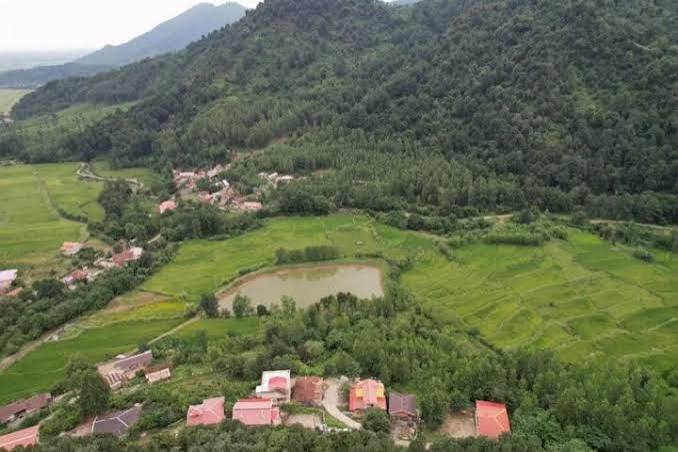 سونامی قیمت مسکن در گلستان