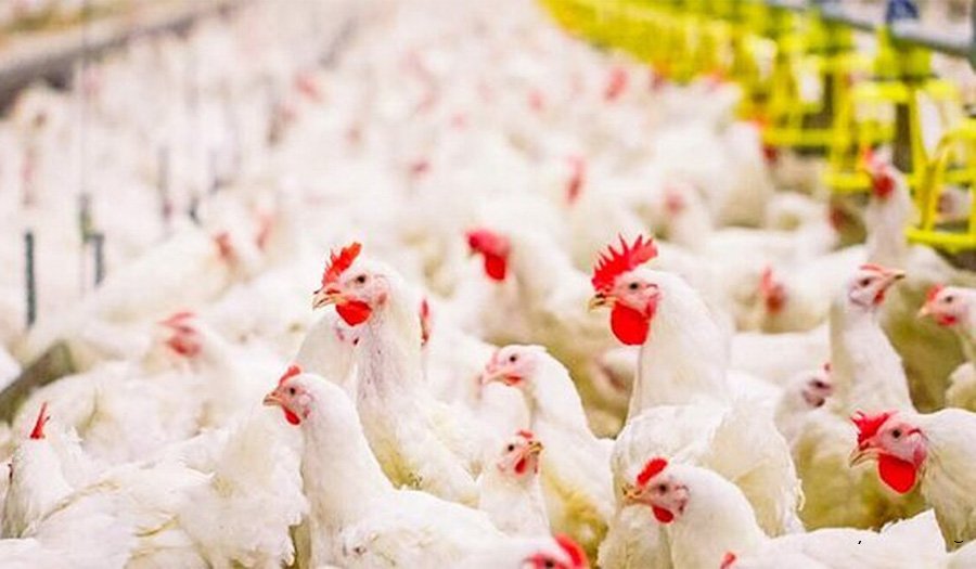 ضربه قاطع دیوان عدالت اداری به خودسری استانداری مازندران